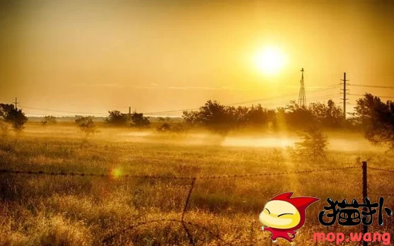 2023_1783919768_FcdvxR5PVQ.webp