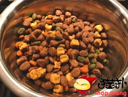 2093_1785831079_oI0xTQlSoU.webp